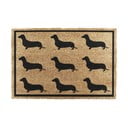 Kookoskiududest matt  40x60cm Dachshund - Artsy Doormats
