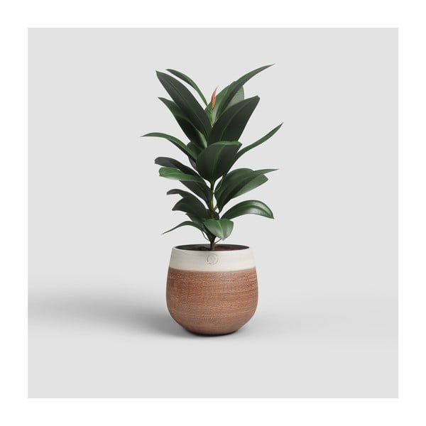 Keraamiline käsitöö lillepott ø 20 cm Antheia - Artevasi-image-1