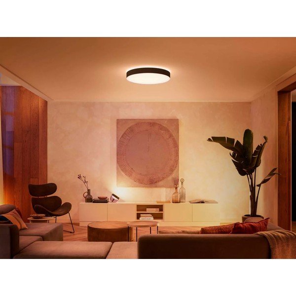LED nutikas laevalgusti 48W Enrave - Philips Hue-image-1