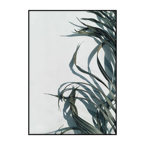 Plakát Imagioo Palm Shadows, 40 x 30 cm