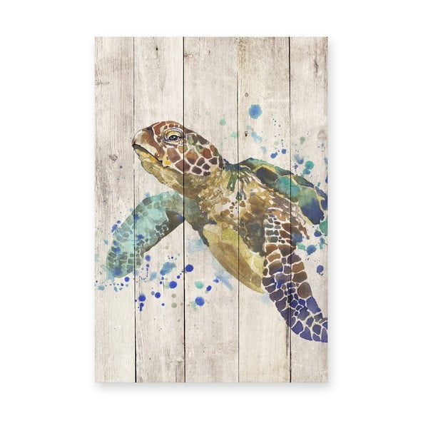 Dřevěná nástěnná dekorativní cedule Surdic Watercolor Turtle, 40 x 60 cm