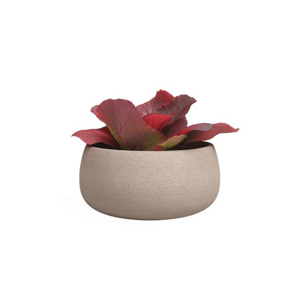 Keraamika lillepoti kate  ø 29 cm Hemera – Artevasi-image-1