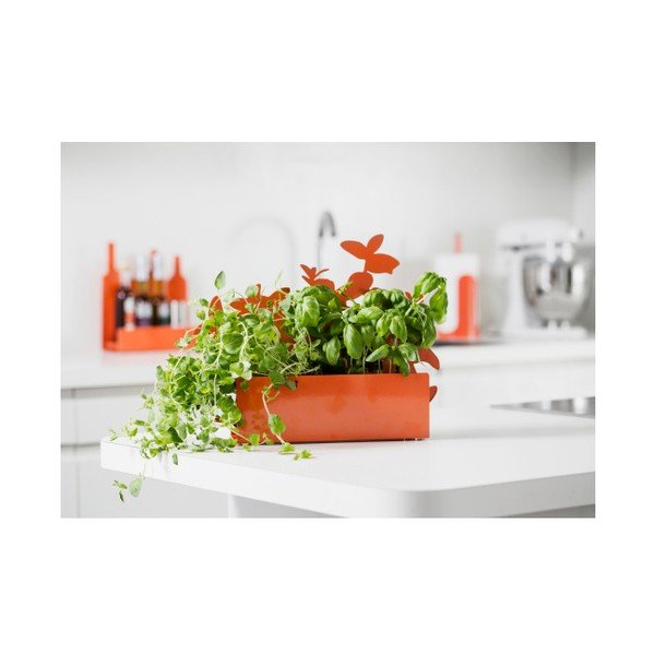 Stojánek na bylinky Herb, oranžový-image-2