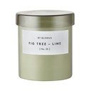 Lõhnastatud sojaküünal, põlemisaeg 45 h Valoa Fig Tree – Lime - Blomus