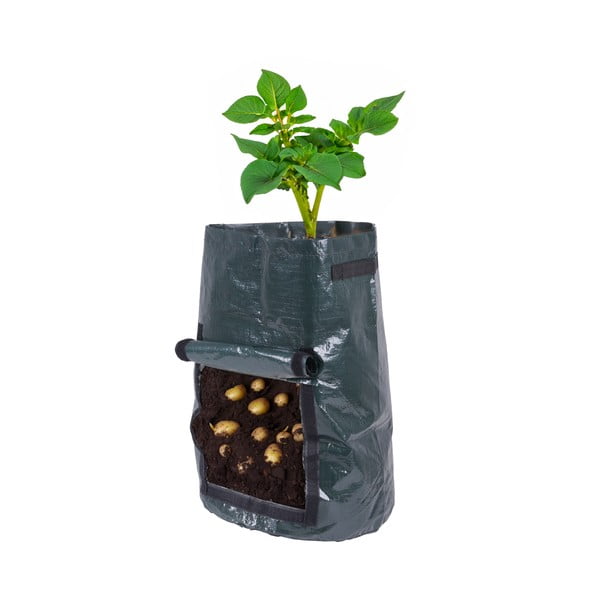 Aiakott - Garden Pleasure-image-1