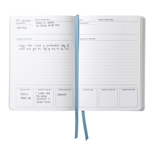 Päevik - Busy B-image-4