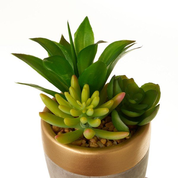 Kunsttaimed komplektis 4 tk (kõrgus 17 cm) Cactus – Casa Selección-image-4