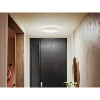 LED nutikas laevalgusti 19 W Enrave - Philips Hue