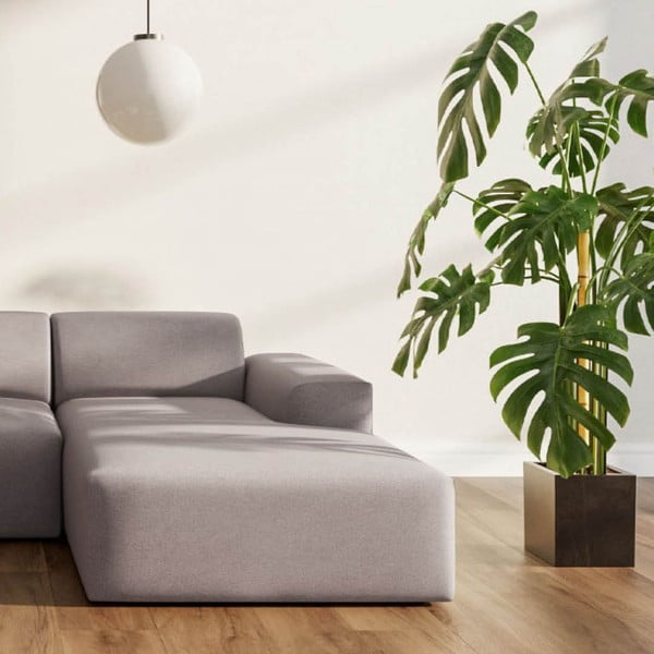 Hall sametist nurgadiivan (parem nurk) Villet - Rodier-image-3