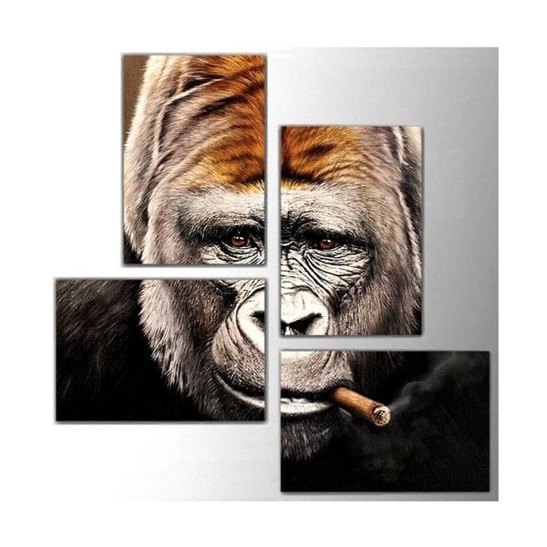 4dílný obraz Monkey, 76x76 cm