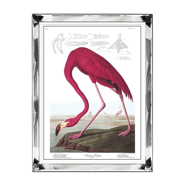Nástěnný obraz JohnsonStyle The Flamingo, 71 x 91 cm