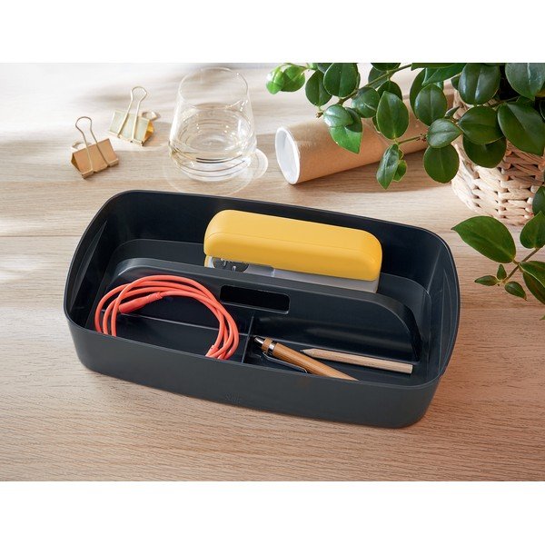 Must plastikust korraldaja kirjatarvete/laua jaoks MyBox - Leitz-image-2