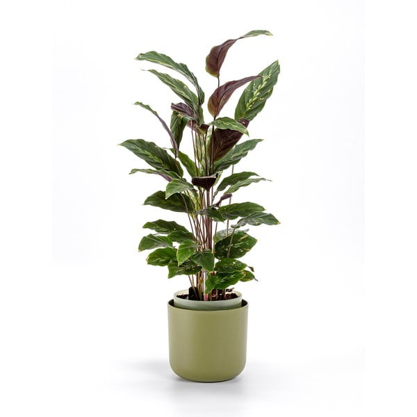 Plastikust isevoolav pott ø 16 cm Tolita - Plastia-image-1