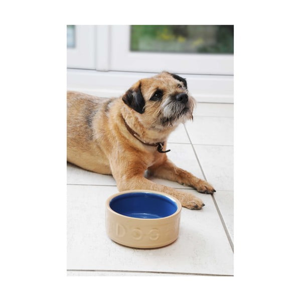 Keraamiline kauss koerale, ø 18 cm Cane Blue Dog - Mason Cash-image-3