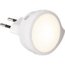 Valge LED öövalgusti  - Star Trading