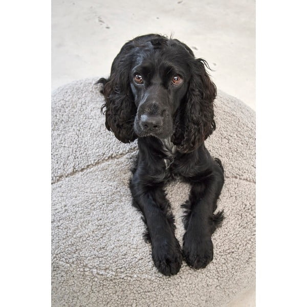 Hall bukleekangast koeravoodi ø 90 cm Senso Pouffe Pebble M/L - MiaCara-image-2