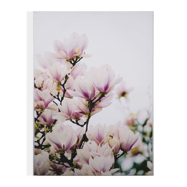 Obraz Graham & Brown Magnolia Blossoms, 50 x 70 cm