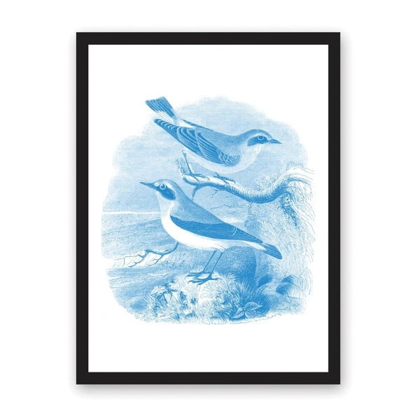 Plakát Ohh Deer Sea Birds, 29,7 x 42 cm