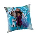 Fliisist laste padi Frozen "Family" - Jerry Fabrics