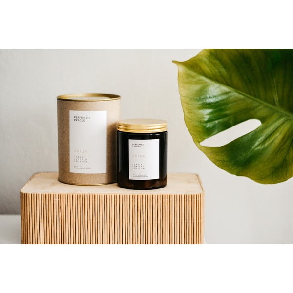 Lõhnastatud sojaküünal 40 h Slavic Edition: Birch – Perfumed Prague-image-3