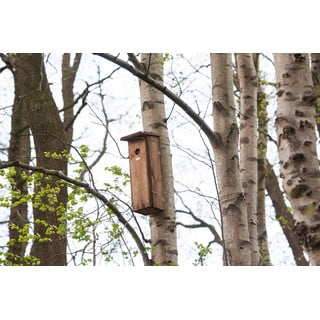 Puidust linnumaja - Esschert Design