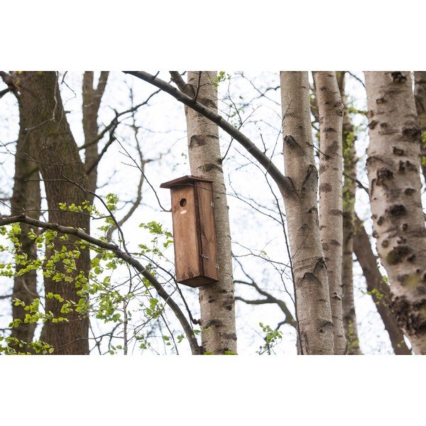 Puidust linnumaja - Esschert Design-image-1