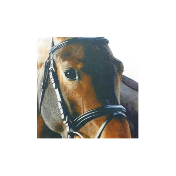 Polštář Mars&More Horse, 50 x 50  cm-image-1