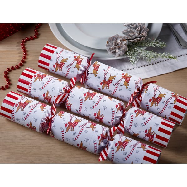 Jõulukrakkerid 6tk komplektis Racing Sausage Dog - Robin Reed-image-1