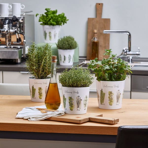 Keraamika lillepoti kate  2 tk ø 14 cm Dalllas Culinary – Big pots-image-2