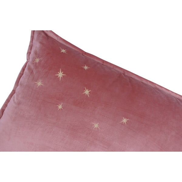 Beebipadi Deluxe - Malomi Kids-image-1