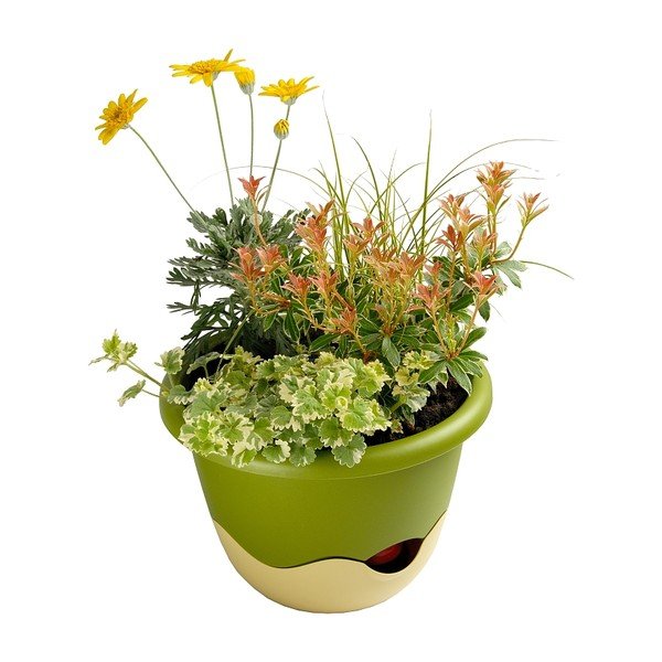 Roheline ja valge isevoolav rippkann Mareta, pikkus 25 cm - Plastia-image-2