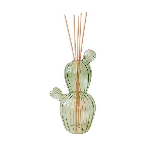 Hajuti Cactus - Brandani