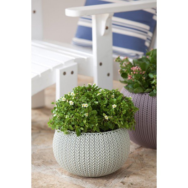 Plastikust rippuv lillepott ø 36 cm Cozy - Keter-image-3