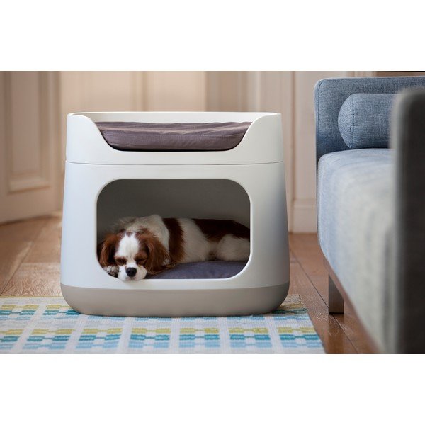 Beež kasside ja koerte voodi Bunkbed - Curver-image-1
