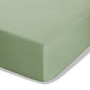 Roheline perkal-puuvillane kummiga lina 90x190 cm Easy Iron Percale - Catherine Lansfield