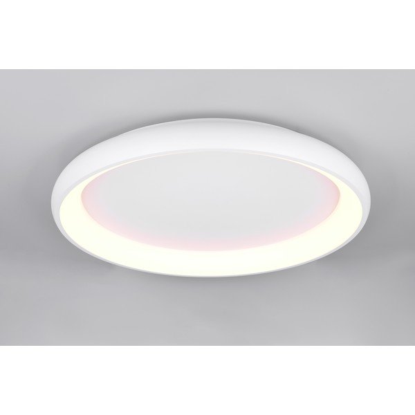 Valge LED dimmerdatav laevalgusti Cardona - Trio-image-2