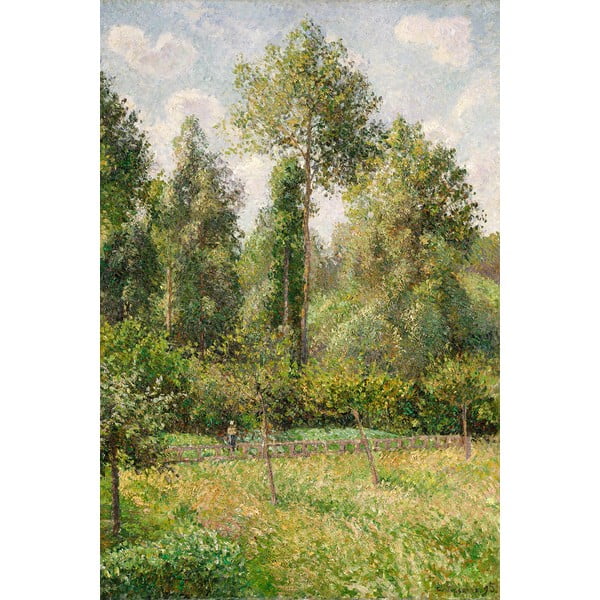 Maali reproduktsioon 60x80 cm Camille Pissarro - Poplars, Éragny - Fedkolor