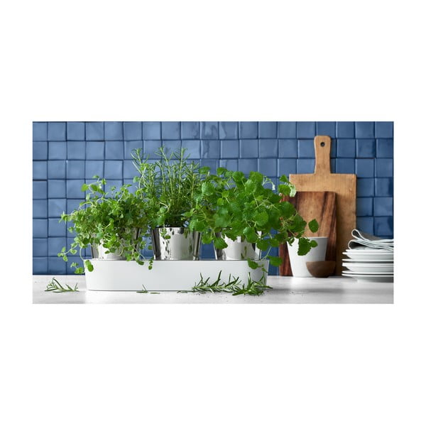 Komplekt 3 roostevabast terasest ürdikannu Gourmet - WMF-image-1