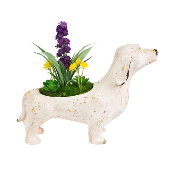 Dekorace Sass & Belle Flowers Dog
