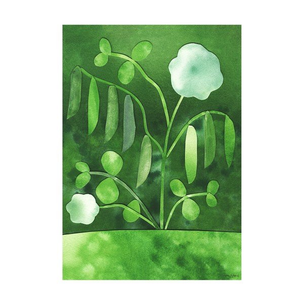 Plakat 50x70 cm Peas in Bloom – Anna Ravn Bjørn - The Plakat Club