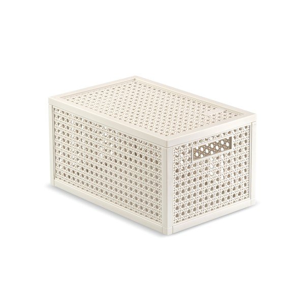 Kreemjas säilituskarp kaanega, valmistatud taaskasutatud plastist, 19x30x15 cm Kaya - Curver