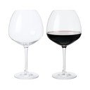 Veiniklaasid 2 komplektis 930 ml Premium - Rosendahl