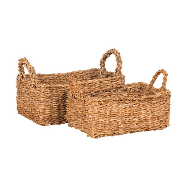 Mererohust korvid, 2 tk komplektis 32x23x13 cm Morella - House Nordic