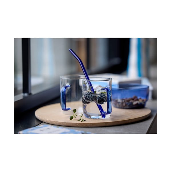 Klaasist kõrred 4tk komplektis koos puhastusharjaga - Lyngby Glas-image-1