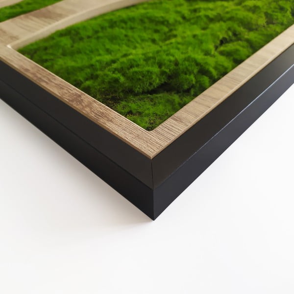 Pilt 50x100 cm Tree - Styler -image-3