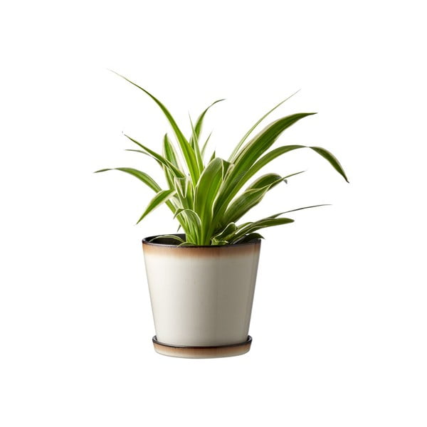 Kivipott ø 14 cm - Bitz-image-1