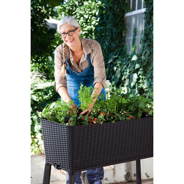 Taimekast Easy Grow - Keter-image-3