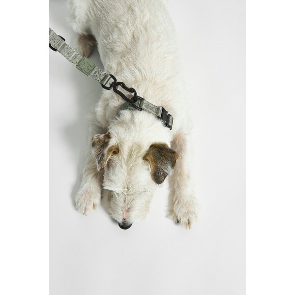 Roheline kaelarihm L/XL pikkus 40 cm Modena Grolive L/XL – MiaCara-image-1