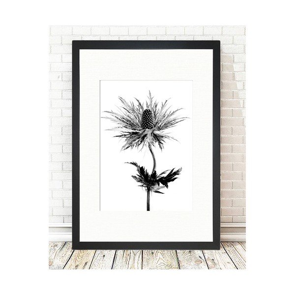 Plakát 24x29 cm Thistle Vibes - Tablo Center-image-1
