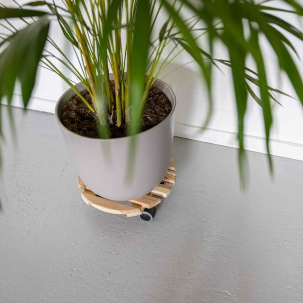 Puidust mobiilne alus lillepottidele ø 29 cm (kõrgus 8 cm) Indoor – Esschert Design-image-1